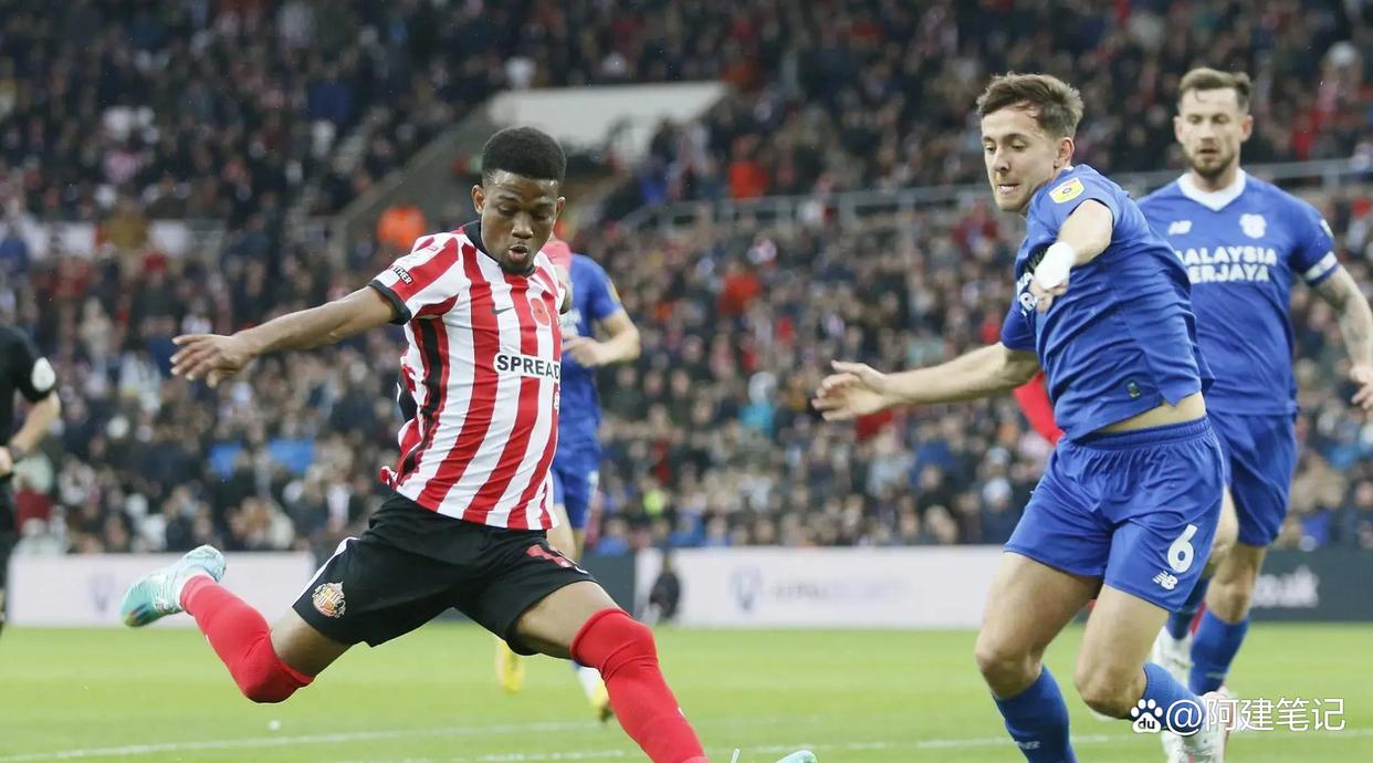 桑德兰遭遇连败,保级形势严峻 桑德兰遭遇连败,保级形势严峻